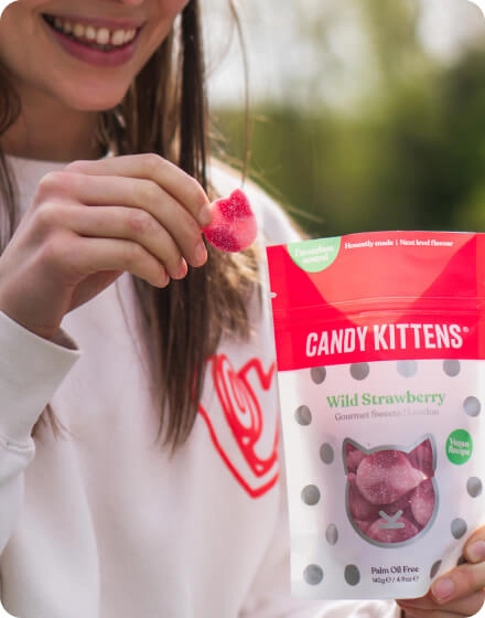 Candy Kittens Case Study Ecommerce Agency